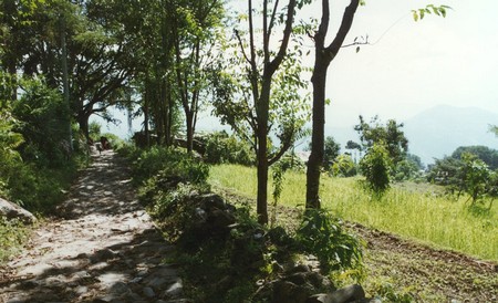 Nepal - Hiking Manaslu