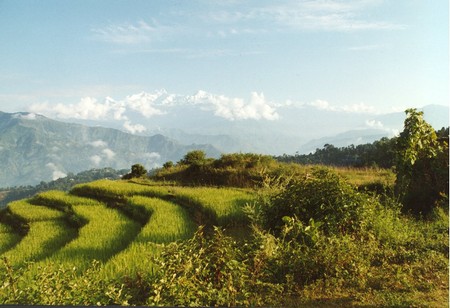 Nepal - Hiking Manaslu