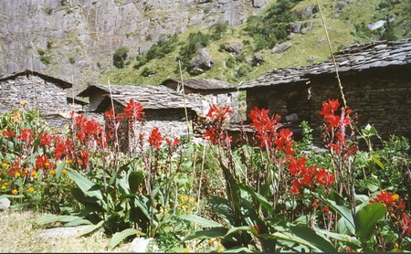 Nepal - Hiking Manaslu