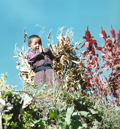 Nepal - Hiking Manaslu
