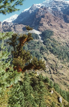 Nepal - Hiking Manaslu
