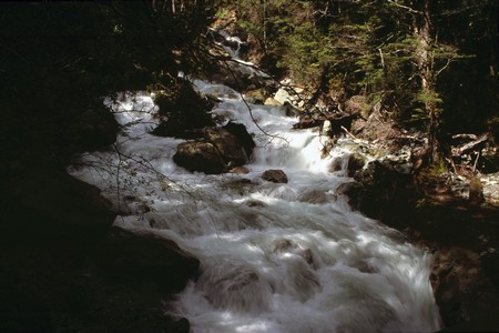 Tramping in New Zealand