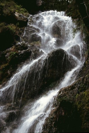 Tramping in New Zealand