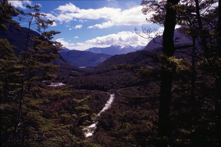 Tramping in New Zealand