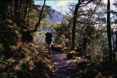 Tramping in New Zealand