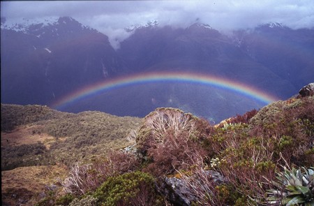 Tramping in New Zealand