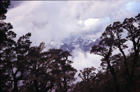 Tramping in New Zealand