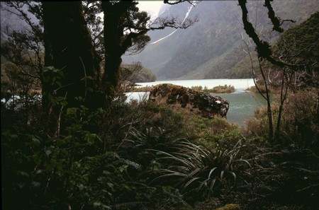 Tramping in New Zealand
