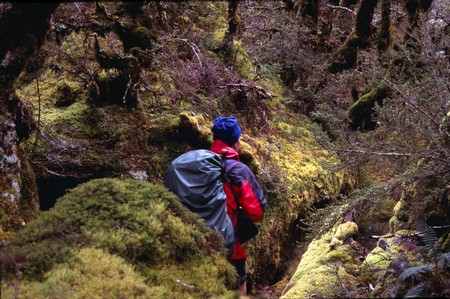 Tramping in New Zealand