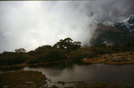 Tramping in New Zealand