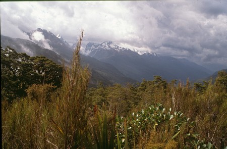 Tramping in New Zealand