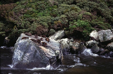 Tramping in New Zealand
