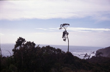 Tramping in New Zealand