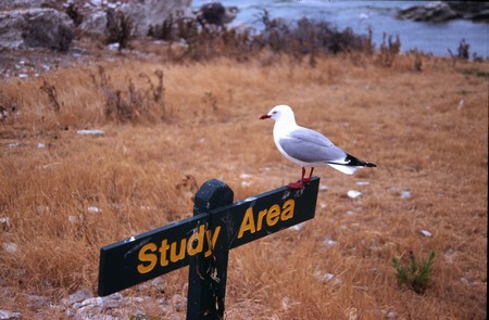 Tramping in New Zealand