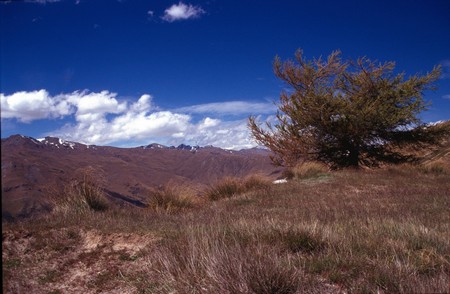 Tramping in New Zealand