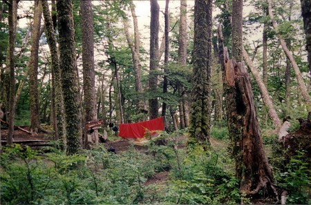 Hiking Patagonia
