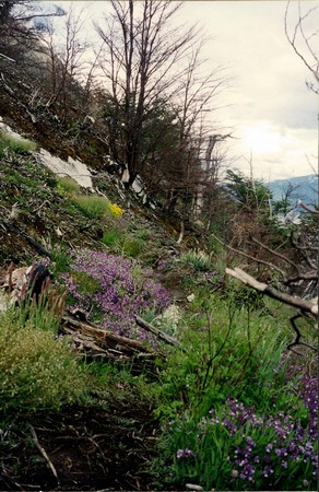 Hiking Patagonia
