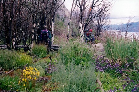 Hiking Patagonia