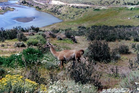 Hiking Patagonia