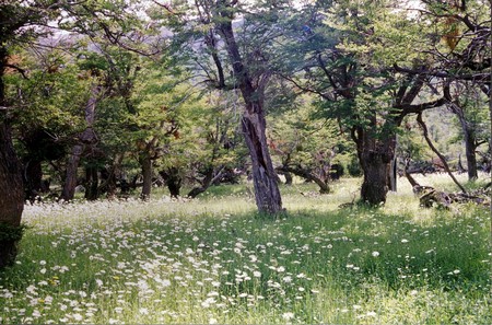 Hiking Patagonia