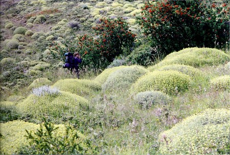 Hiking Patagonia