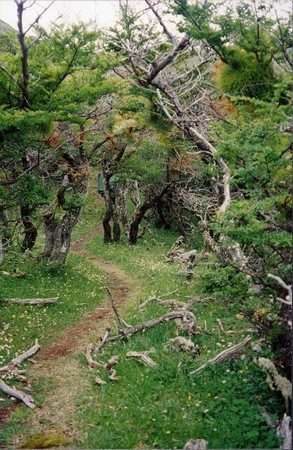 Hiking Patagonia
