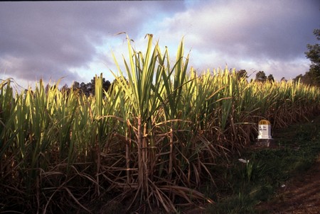 Hiking Reunion Island, end to end
