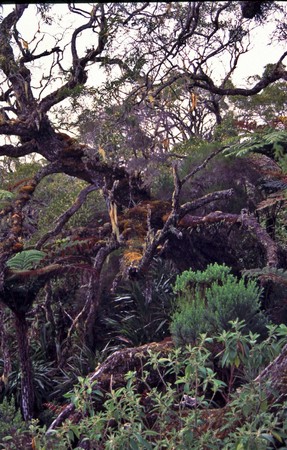 Hiking Reunion Island, end to end