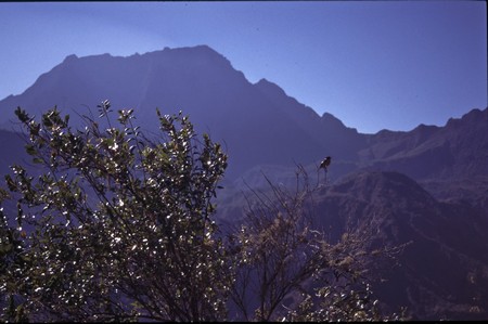 Hiking Reunion Island, end to end