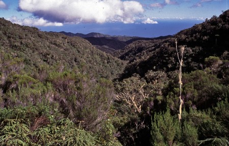 Hiking Reunion Island, end to end