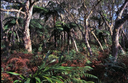 Hiking Reunion Island, end to end