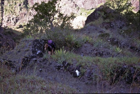 Hiking Reunion Island, end to end