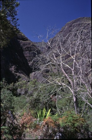 Hiking Reunion Island, end to end