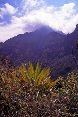 Hiking Reunion Island, end to end