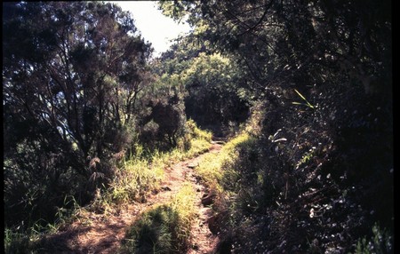 Hiking Reunion Island, end to end