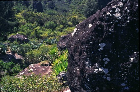 Hiking Reunion Island, end to end