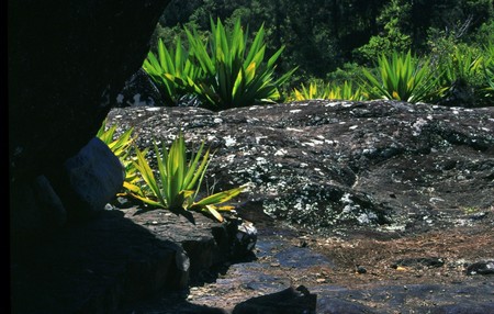 Hiking Reunion Island, end to end