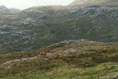Scotland; coast to coast without paths