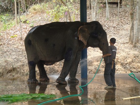 Thailand; land of temples, good food and lovely people