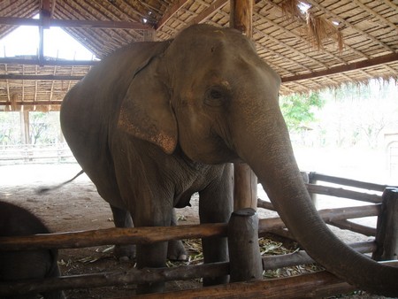 Thailand; land of temples, good food and lovely people