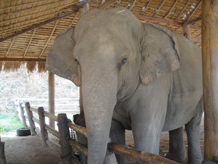 Thailand; land of temples, good food and lovely people