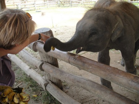 Thailand; land of temples, good food and lovely people