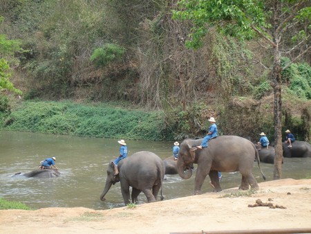 Thailand; land of temples, good food and lovely people