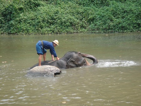 Thailand; land of temples, good food and lovely people