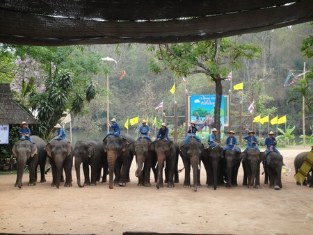 Thailand; land of temples, good food and lovely people
