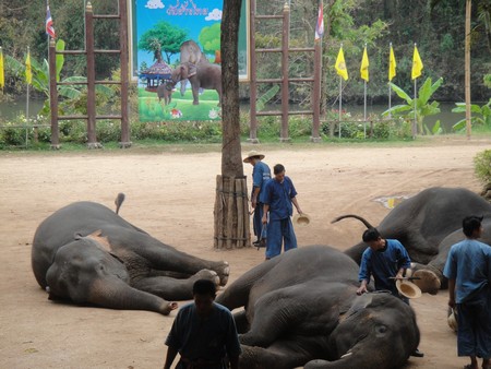 Thailand; land of temples, good food and lovely people