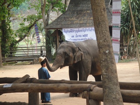 Thailand; land of temples, good food and lovely people