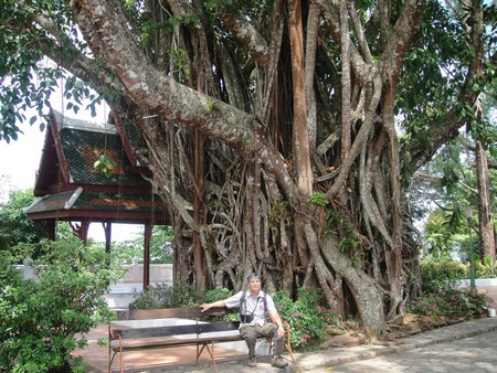 Thailand; land of temples, good food and lovely people