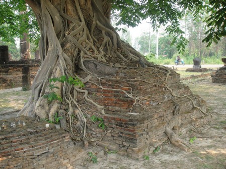 Thailand; land of temples, good food and lovely people
